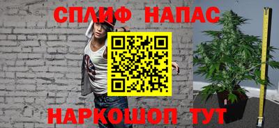 гидра Моздок