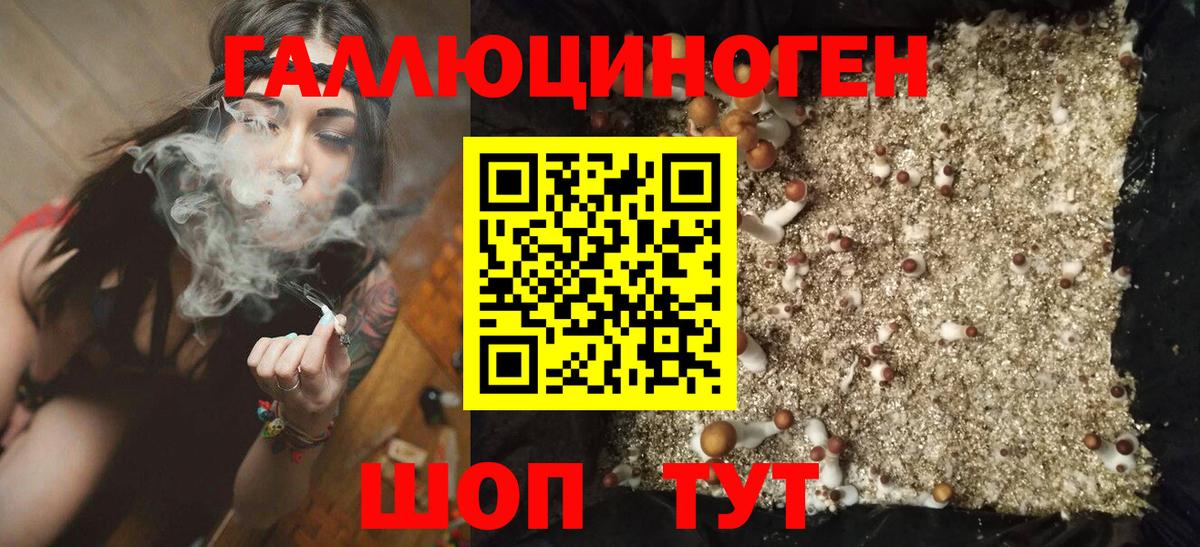 Псилоцибиновые грибы Psilocybine cubensis Верхняя Салда